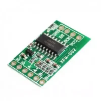 MODULE DE PESAGE HX711