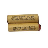 BATTERIE DE RECHANGE POUR PT-0721F
