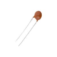100PF 100V CONDENSATEUR ENTILLE