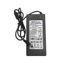 WE-1250 ADAPTATEUR WELION 12V 5A