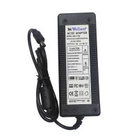 WE-12100 ADAPTATEUR WELION 12V 10A
