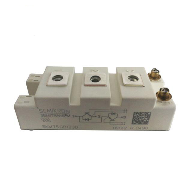 Modulo IGBT SEMIKRON SKM75GB123D Alimentatore 75A - Nuovo