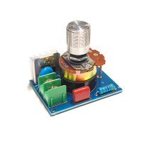 2021-V11 VARIATEUR 220V 2000W