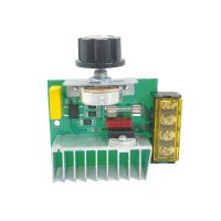 MODULE VARIATEUR 220V 4000W