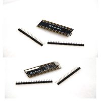 S TANG NANO CARTE DE DEVELOPPEMENT FPGA GW1N-1  1K