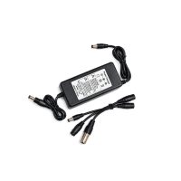 WE-4220 ADAPTATEUR 42V 2A + 3 CONNECTEURS